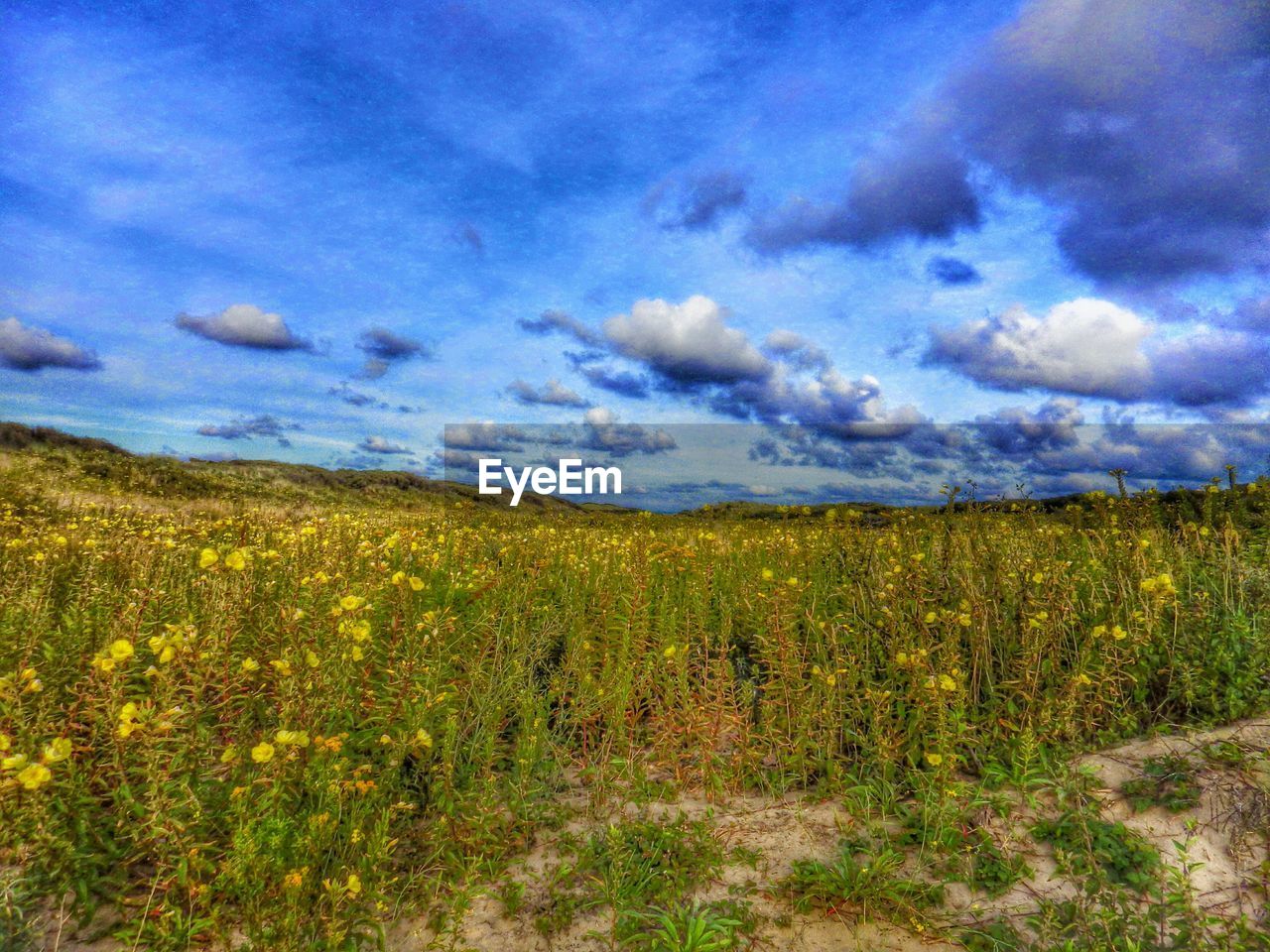 VIEW OF FIELD AGAINST CLOUDY SKY