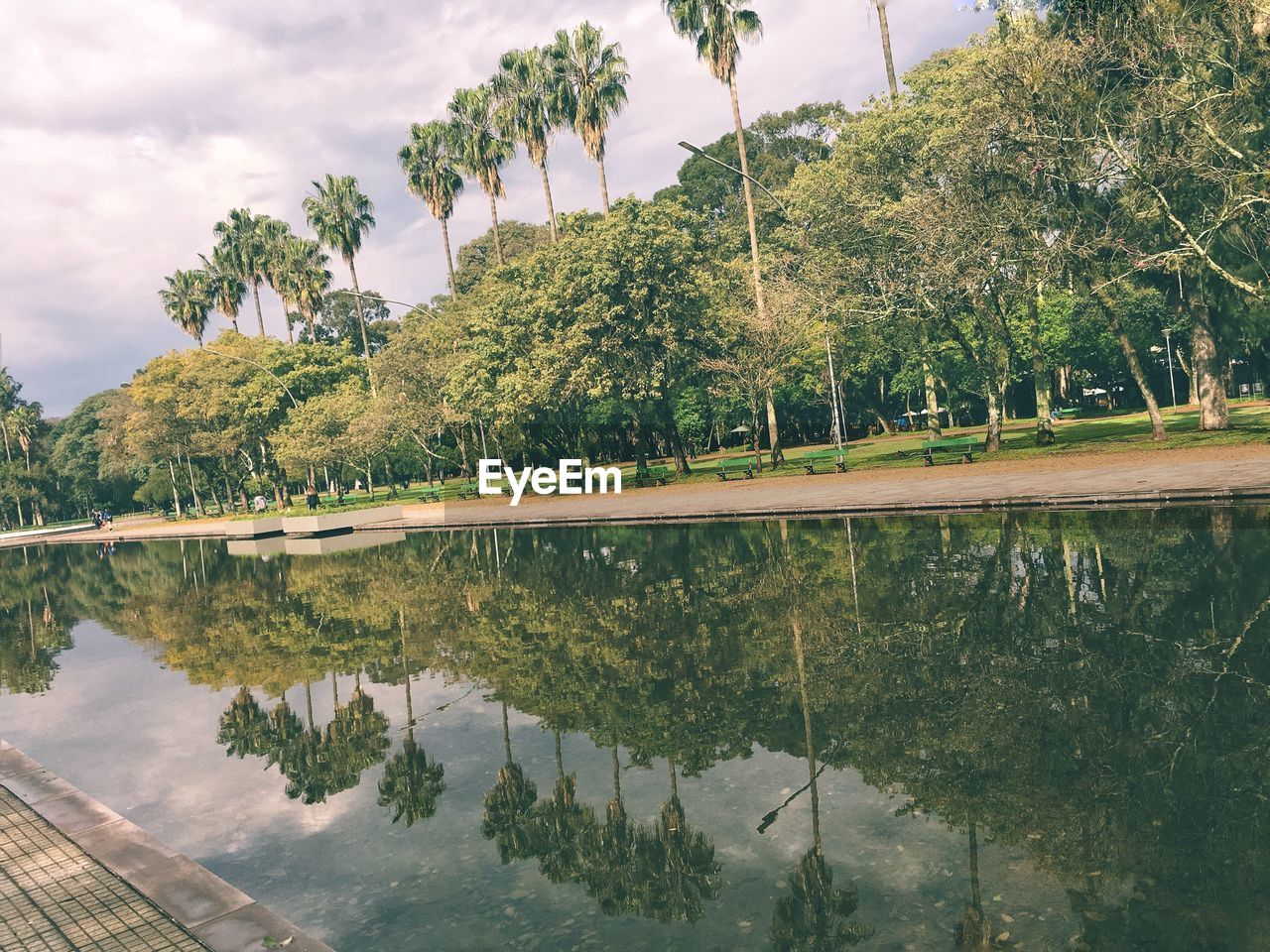 tree, water, plant, reflection, nature, river, beauty in nature, sky, tranquility, cloud, scenics - nature, environment, tropical climate, no people, tranquil scene, reservoir, growth, green, palm tree, day, landscape, outdoors, land, waterway, travel destinations, travel, non-urban scene, tourism