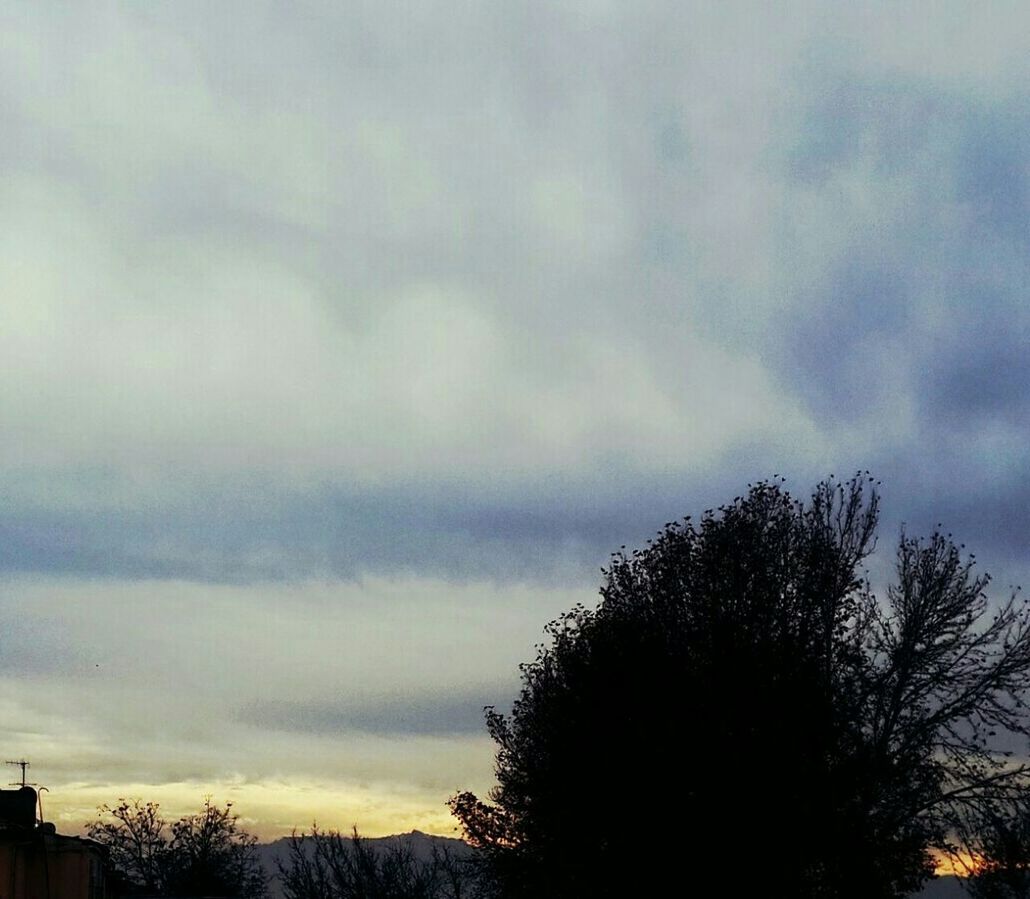 SILHOUETTE OF TREES AGAINST CLOUDY SKY