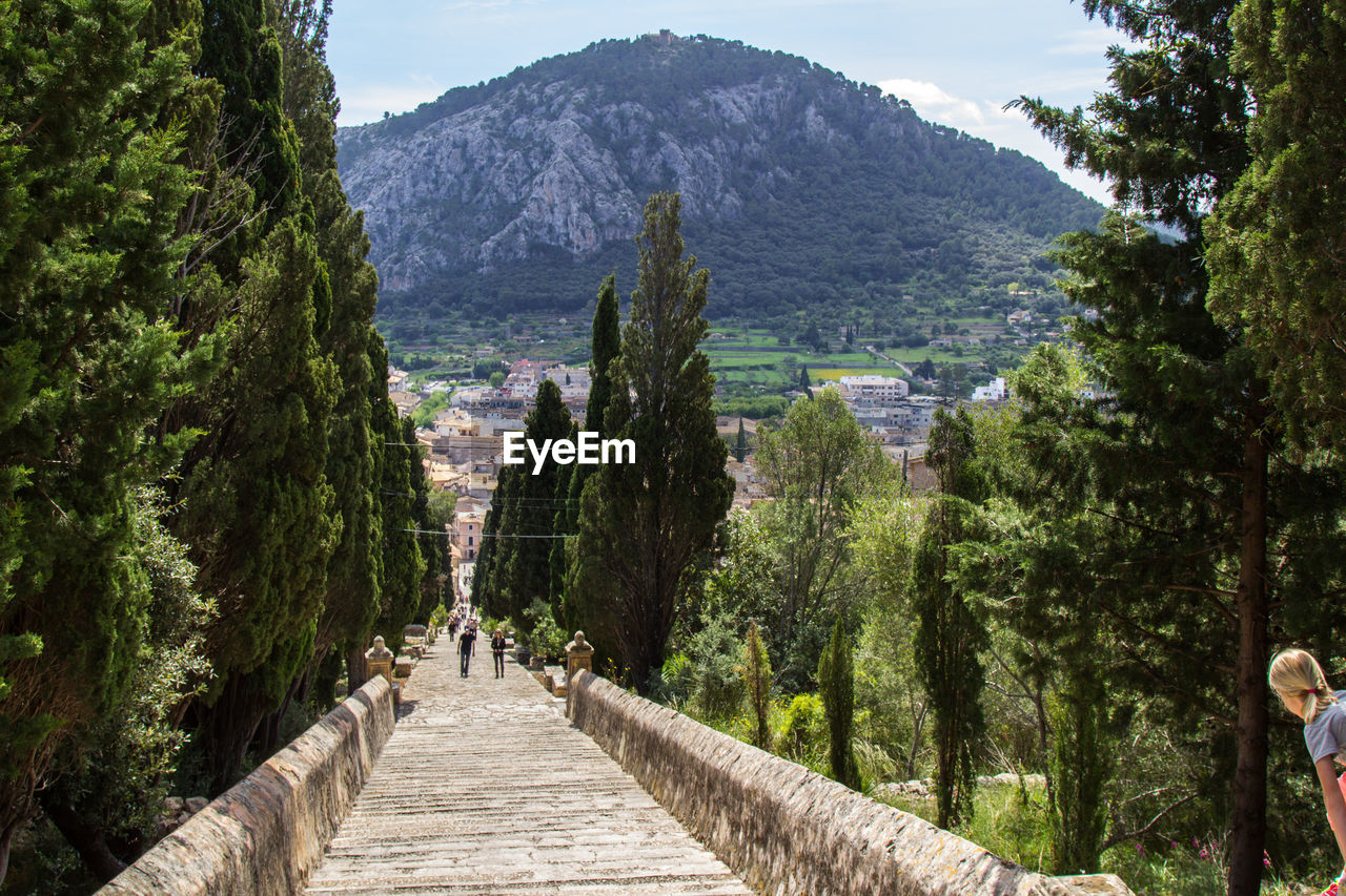 PANORAMIC VIEW OF TREES ON MOUNTAINS