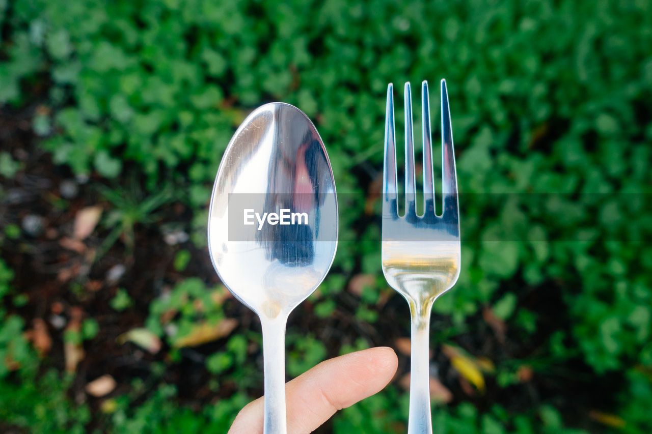 Close-up of spoon and fork against plants