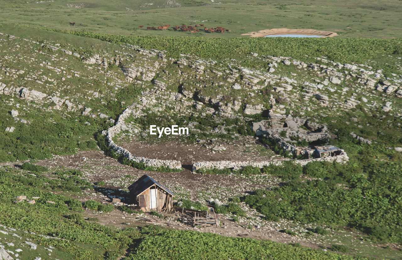 HIGH ANGLE VIEW OF PLANTS GROWING ON FIELD BY BUILDING