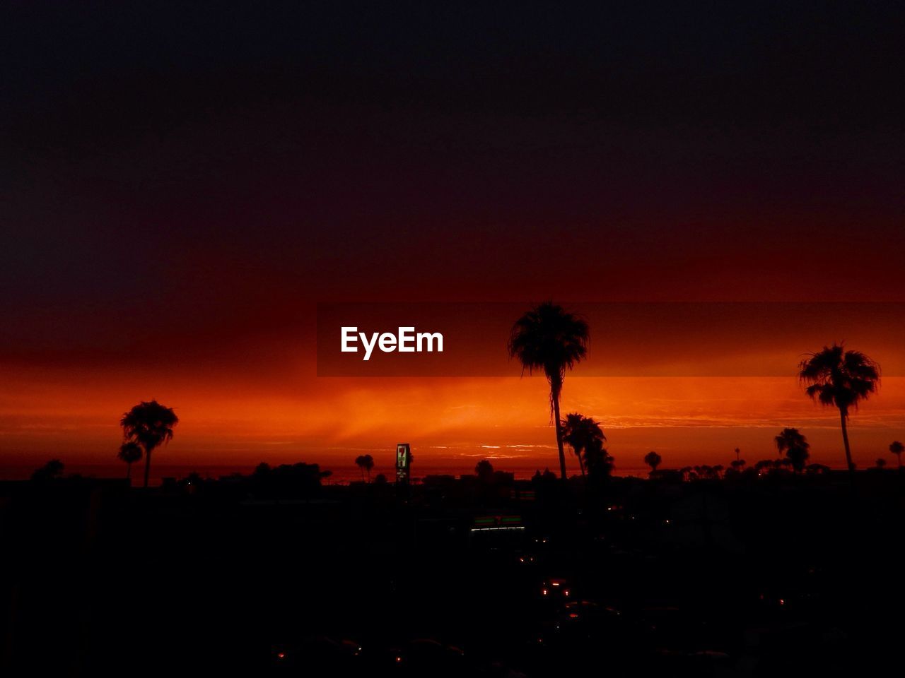 SCENIC VIEW OF SILHOUETTE TREES AGAINST ORANGE SKY