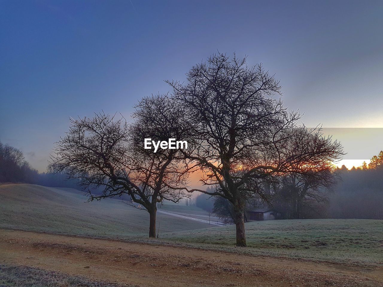 BARE TREES ON LANDSCAPE AGAINST CLEAR SKY