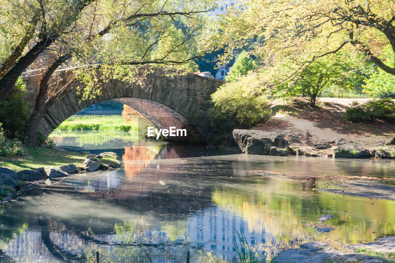 Arch bridge over river amidst trees on sunny day