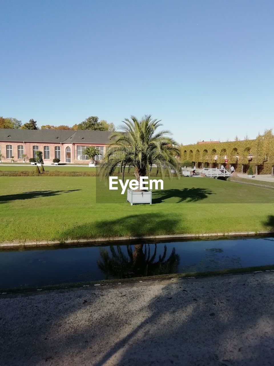 Scenic view of palm trees and building against blue sky