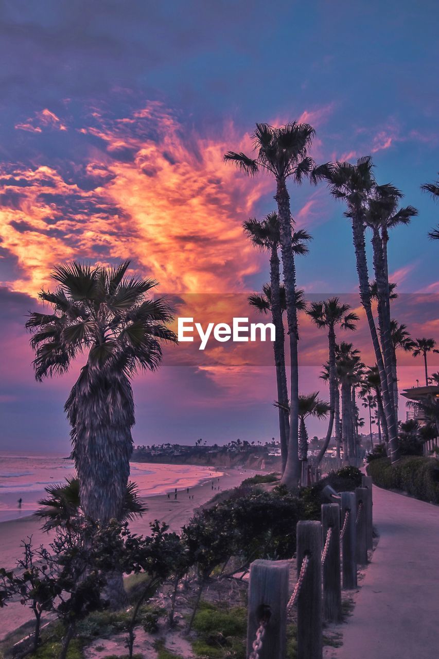 SCENIC VIEW OF PALM TREES AGAINST SKY DURING SUNSET