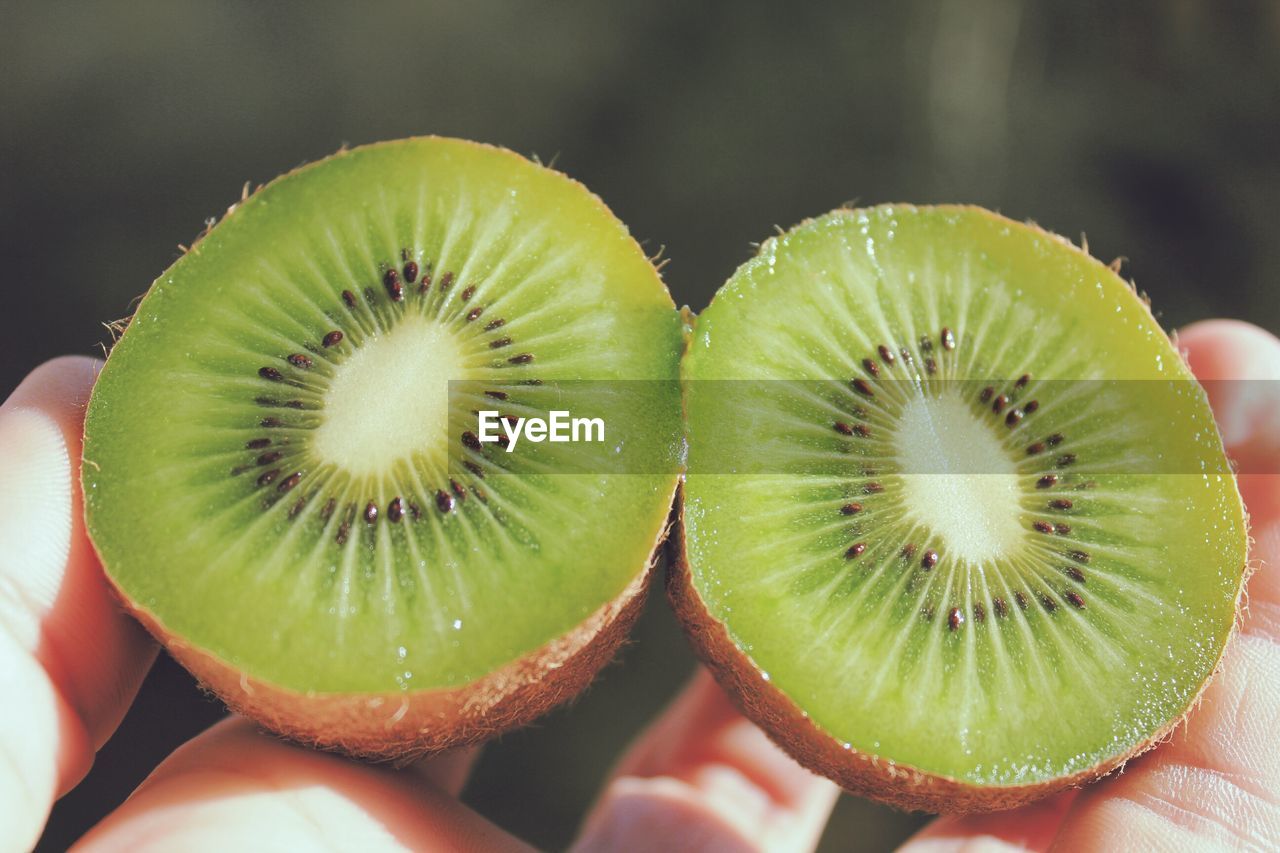 Close-up of person holding kiwi