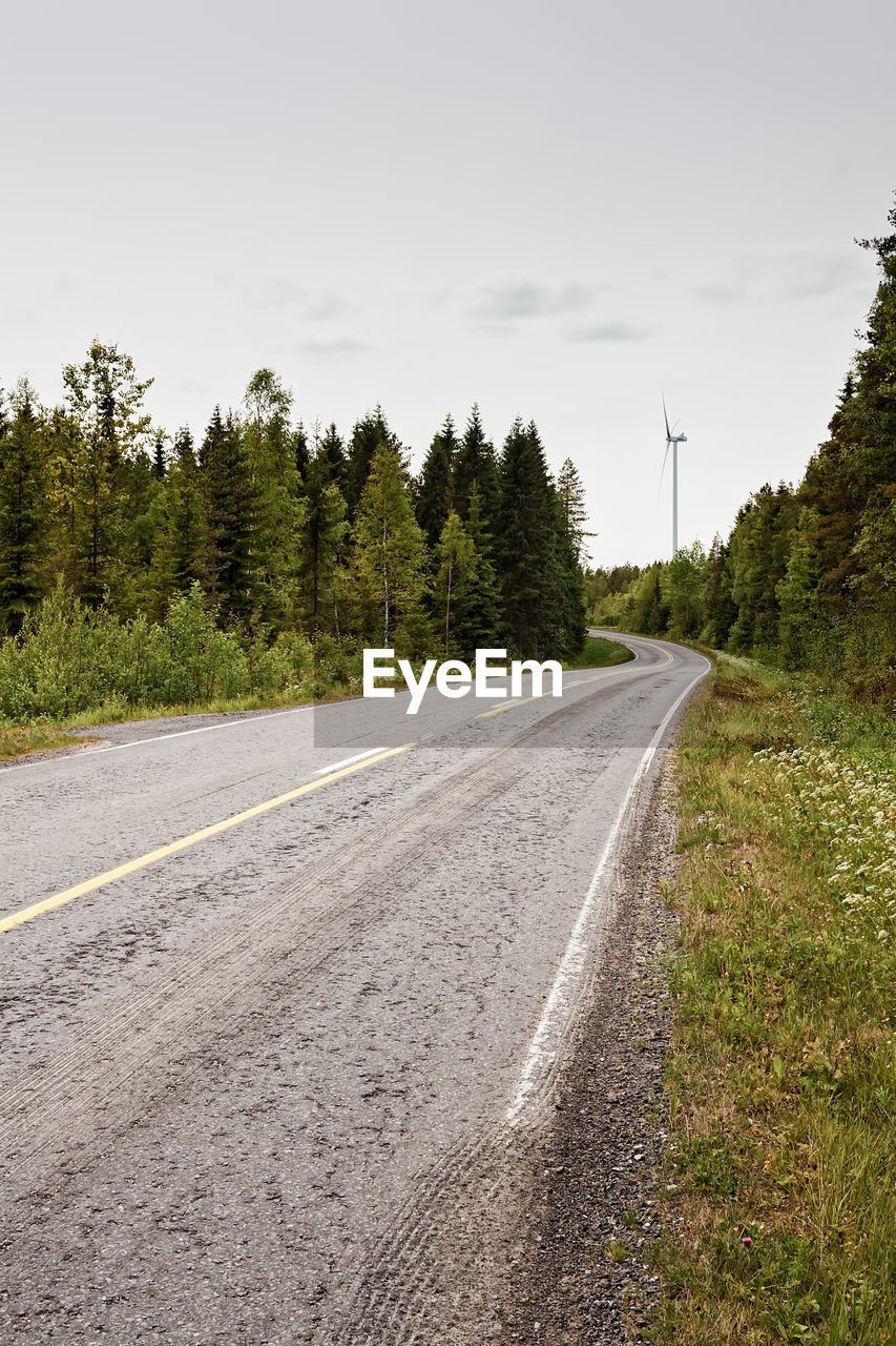 ROAD AMIDST TREES AND PLANTS AGAINST SKY