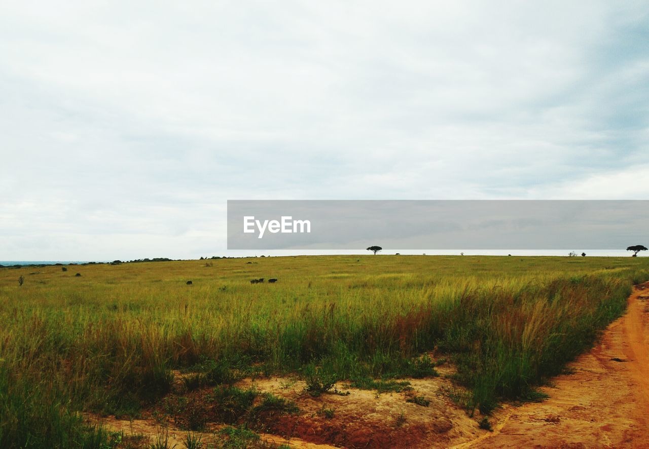 Countryside landscape against the sky