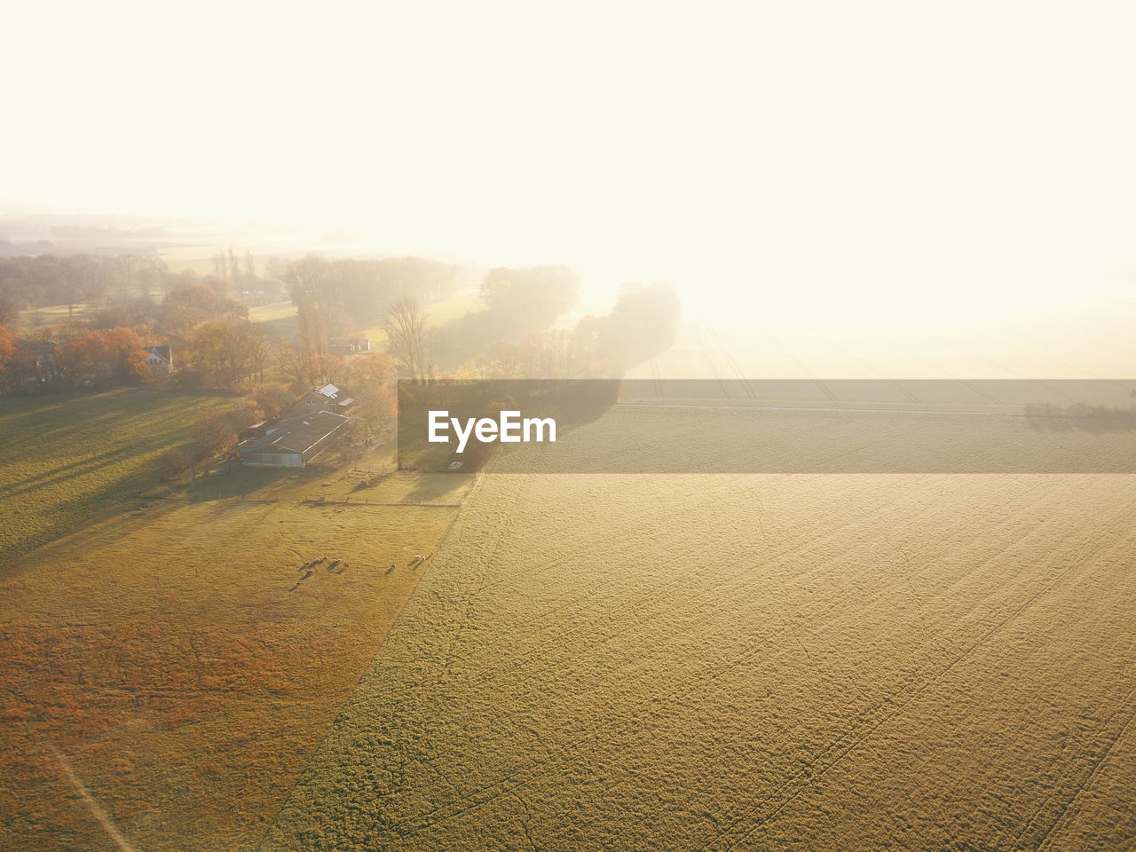 SCENIC VIEW OF LANDSCAPE AGAINST BRIGHT SKY