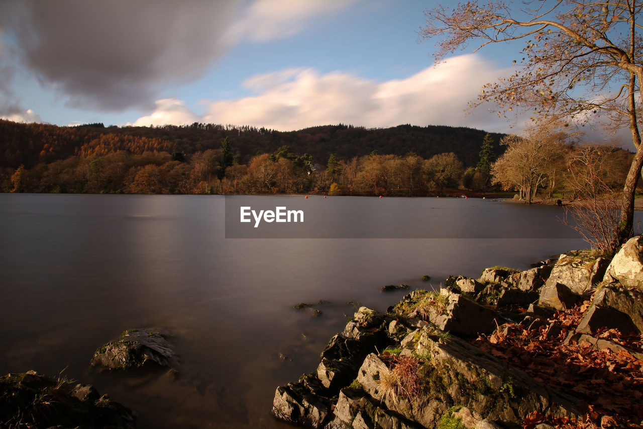 SCENIC VIEW OF LAKE BY TREES AGAINST SKY