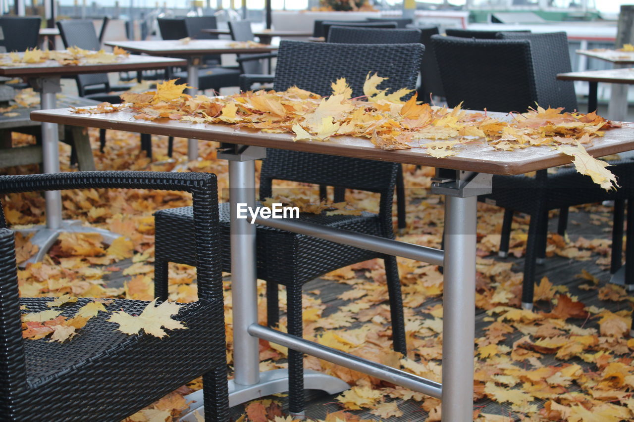Fallen maple leaves on empty chairs and table at cafe during autumn