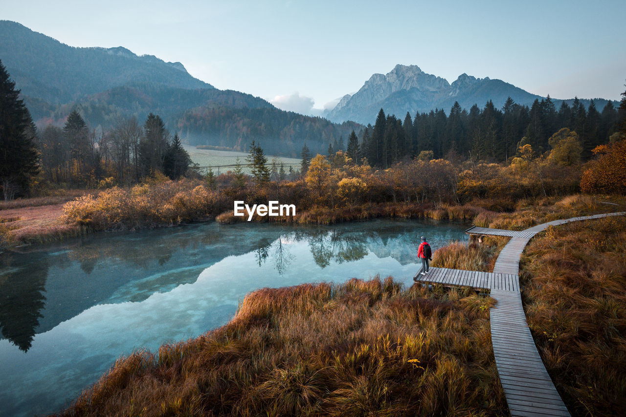 scenic view of river amidst trees against sky