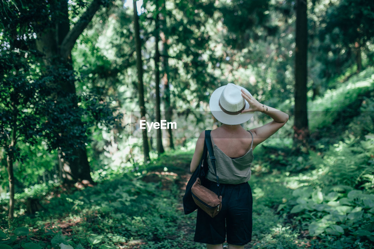 Alone in the forest