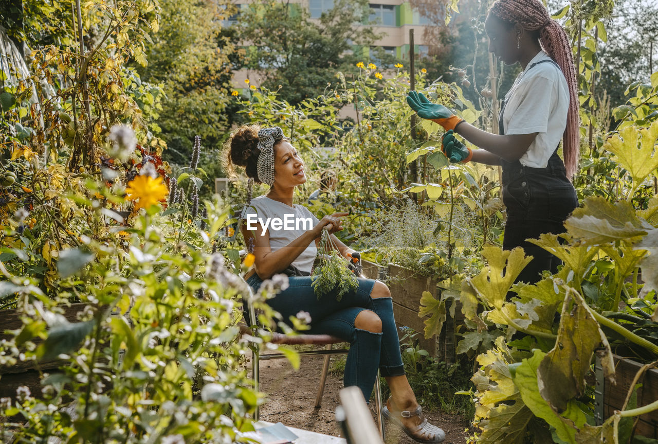 Female farmers talking while working in community garden