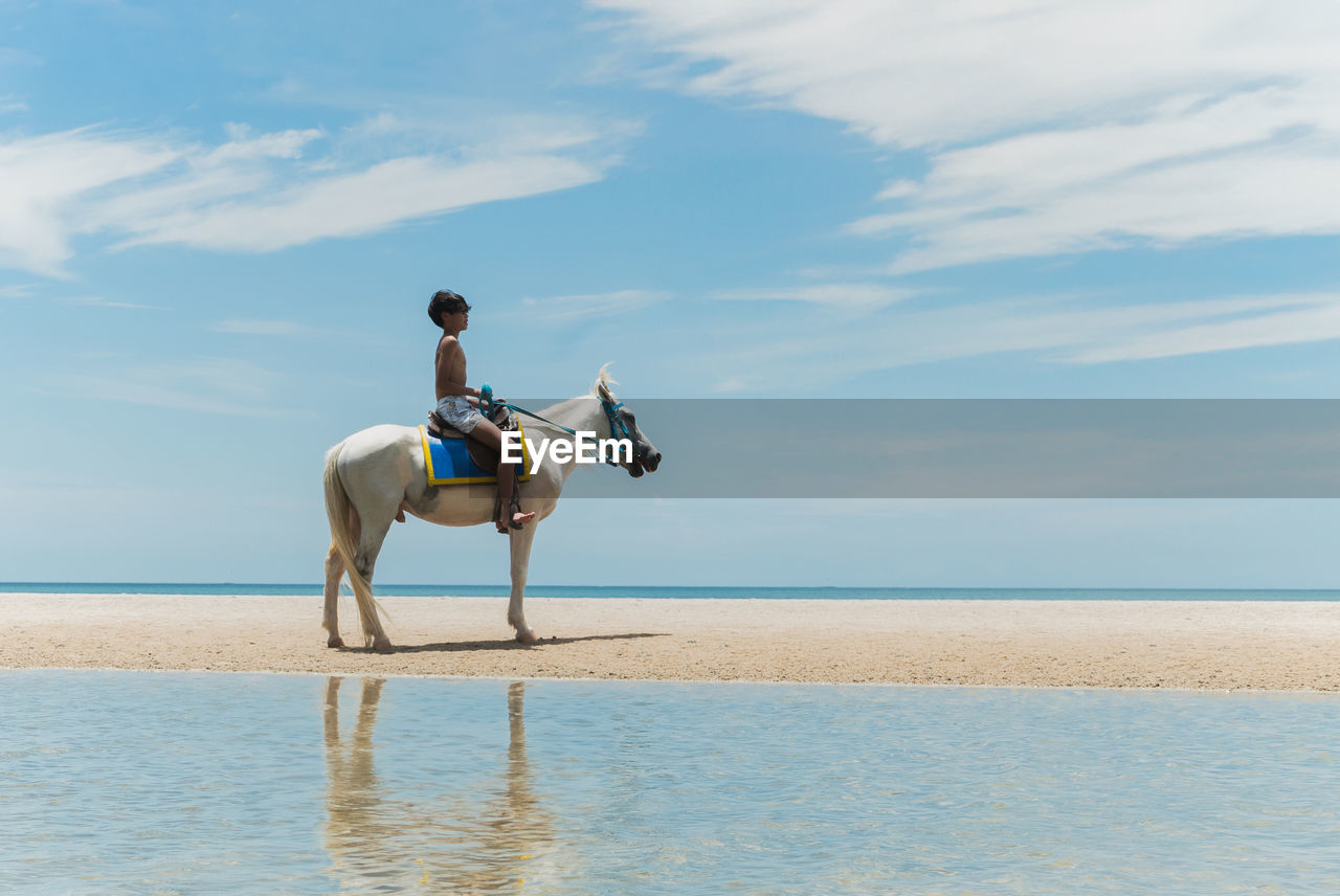 Teenage boy rides a horse on the beach.