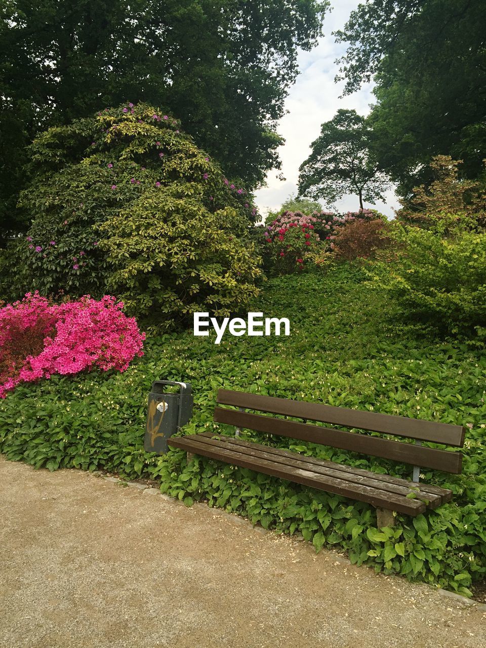 Empty bench against plants