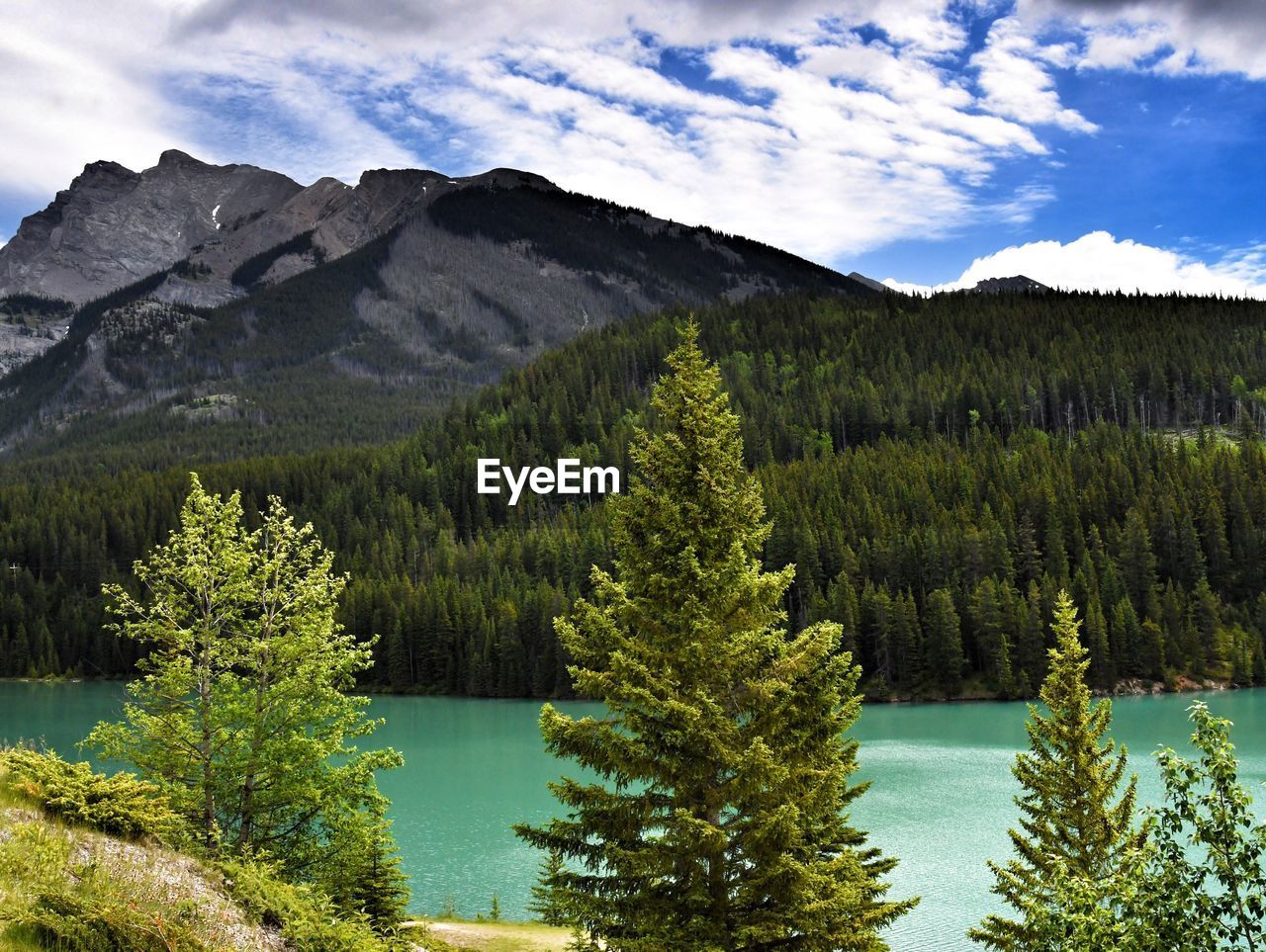 Scenic view of tree mountains against sky