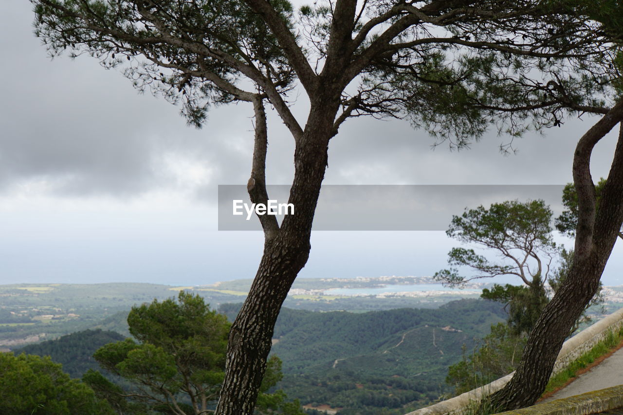 Scenic view of tree mountains against sky