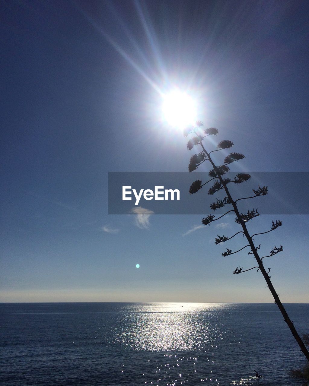 SCENIC VIEW OF SEA AGAINST SKY AT SUNSET