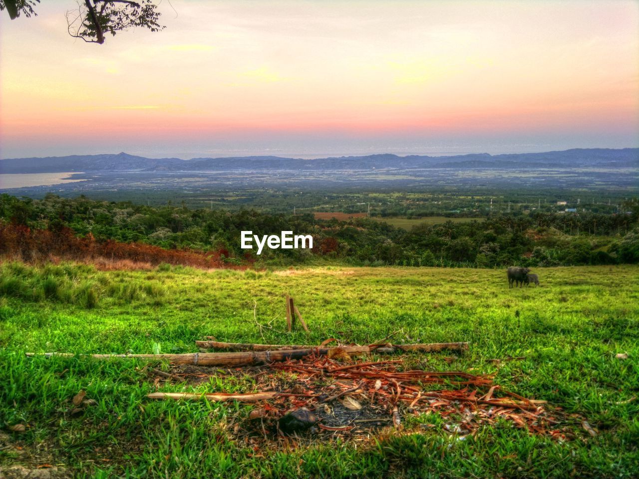 Scenic view of grassy field against cloudy sky