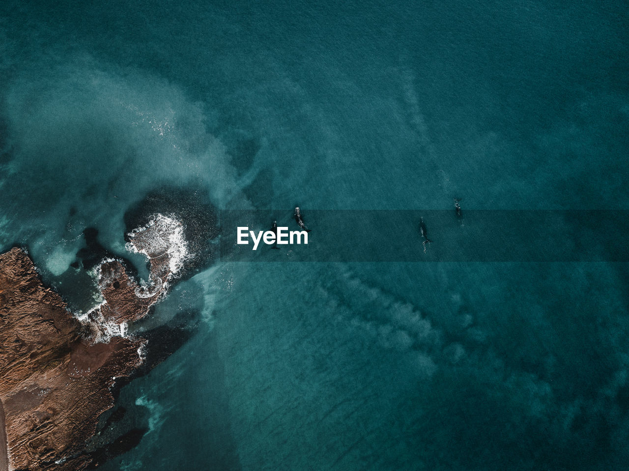 HIGH ANGLE VIEW OF PEOPLE ON THE SEA