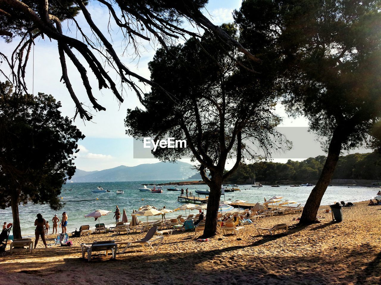 People on beach by silhouette trees against sky