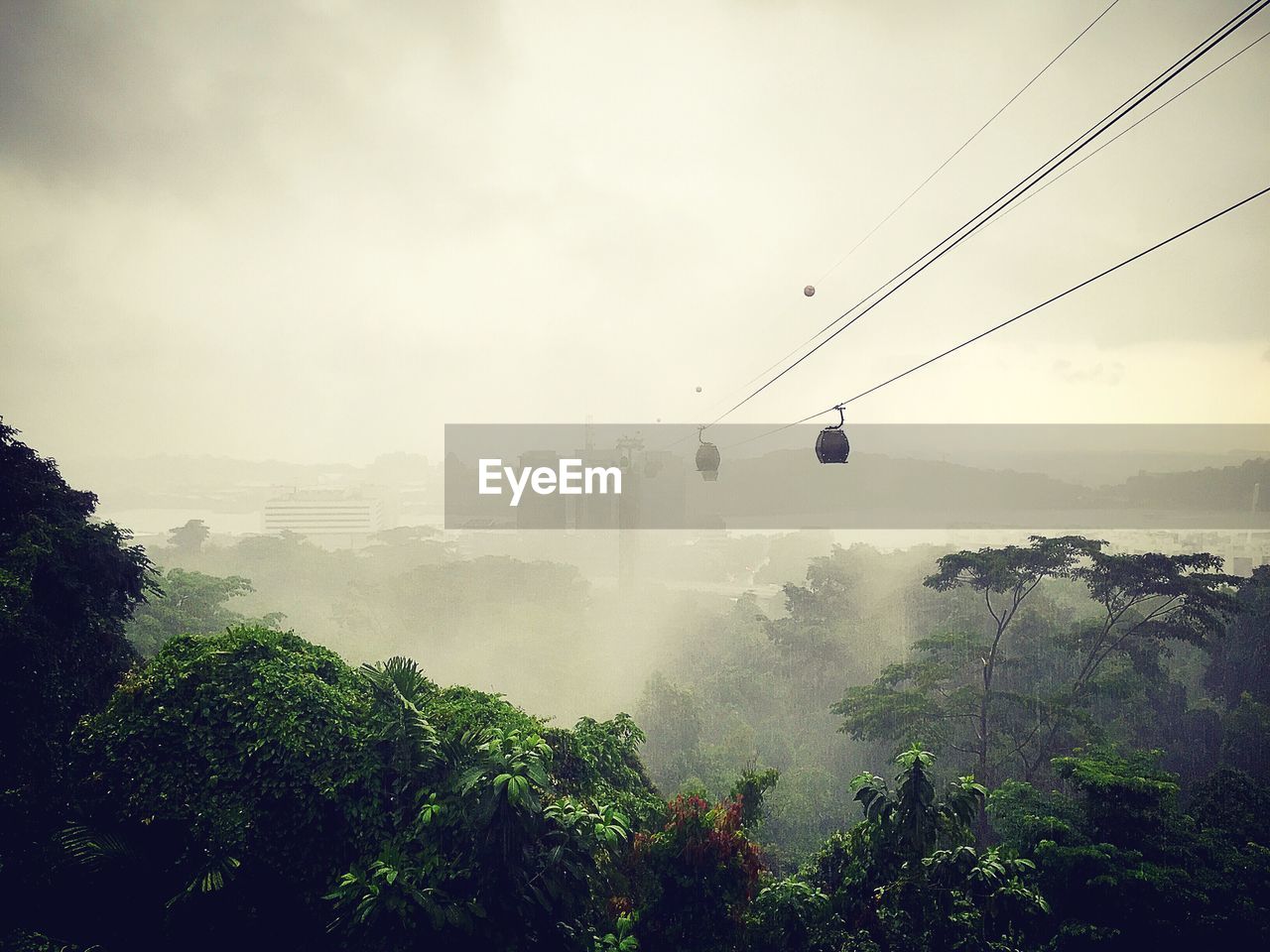 Overhead cable cars over trees against sky