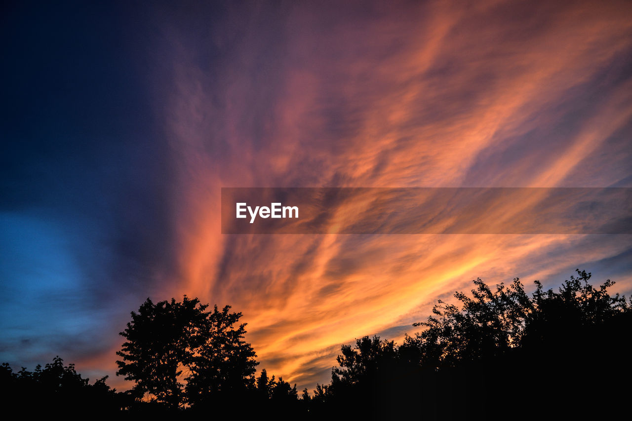 LOW ANGLE VIEW OF SILHOUETTE TREES AGAINST ROMANTIC SKY