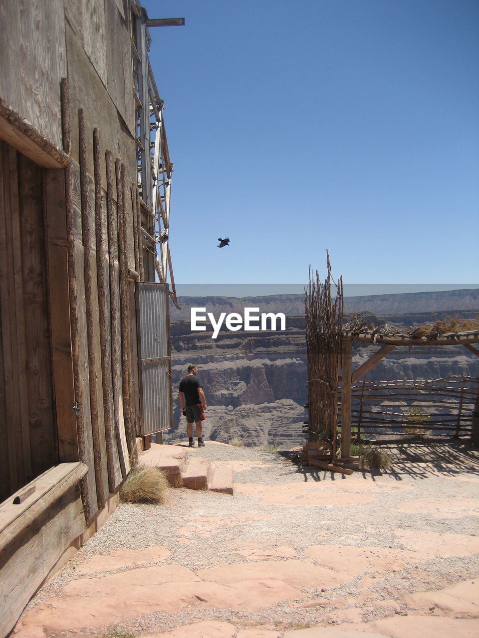 Rear view of man standing against rocky mountain