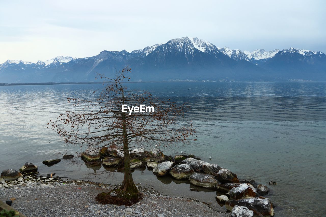 Scenic view of lake by snowcapped mountains against sky