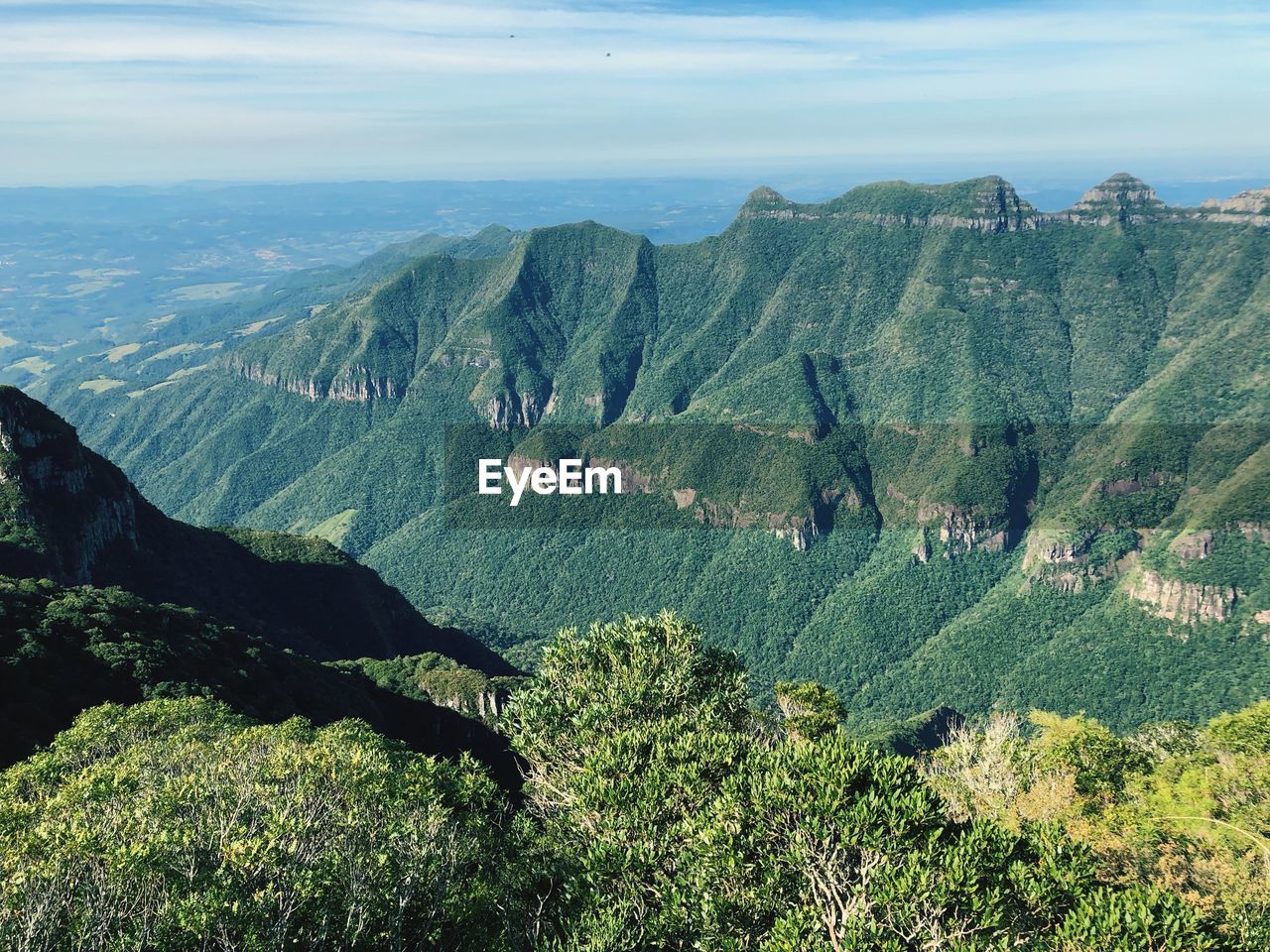 High angle view of trees on landscape against sky