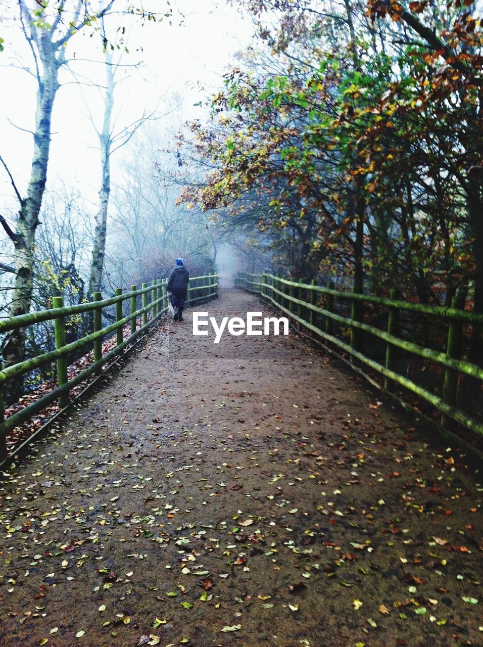 WOMAN WALKING ON ROAD AMIDST TREES AGAINST SKY