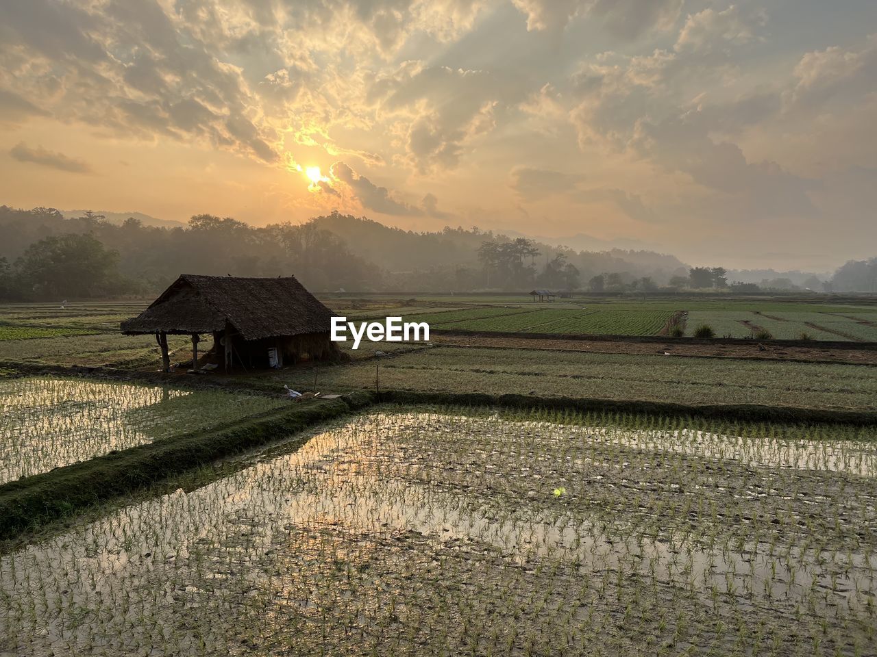 landscape, agriculture, environment, rural scene, morning, sky, farm, field, land, crop, nature, scenics - nature, architecture, horizon, rice, building, sun, rice paddy, cloud, plant, beauty in nature, rural area, hut, food and drink, house, food, built structure, plain, sunrise, no people, social issues, sunlight, cereal plant, rice - food staple, tranquility, outdoors, environmental conservation, mountain, travel, twilight, paddy field, dawn, building exterior, tradition, occupation, water, residential district, travel destinations, agricultural building, grass, growth, tranquil scene, tree, fog