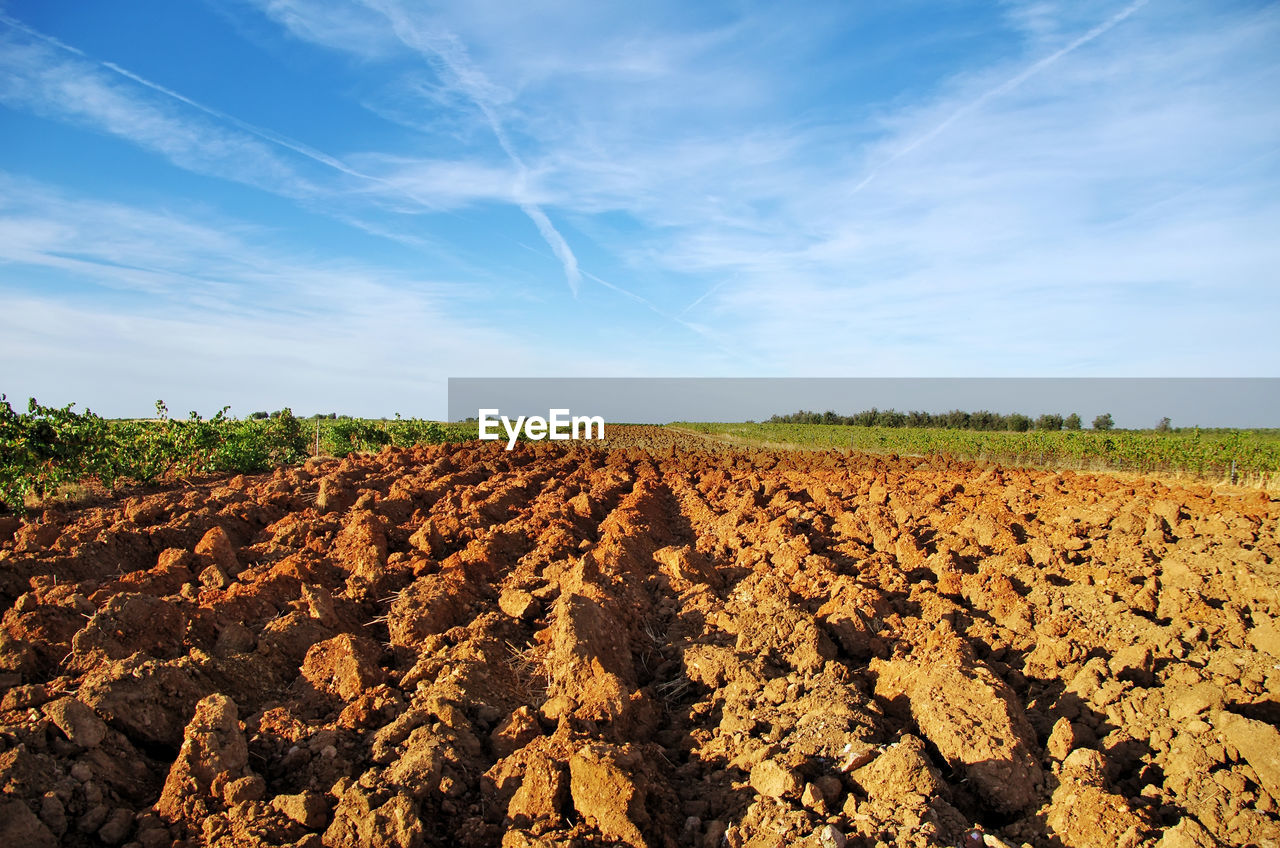 Scenic view of plowed agricultural field against sky