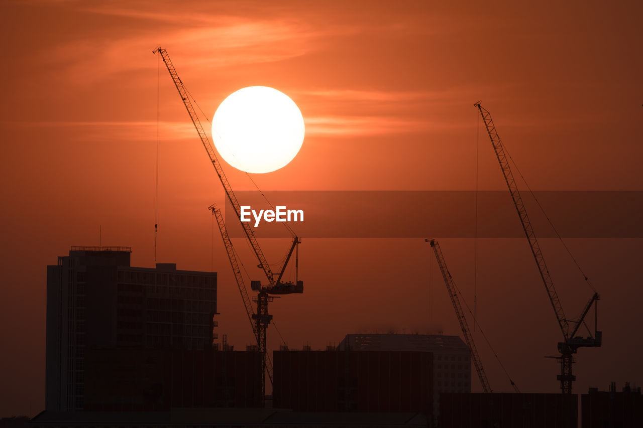 SILHOUETTE OF CRANES AT SUNSET