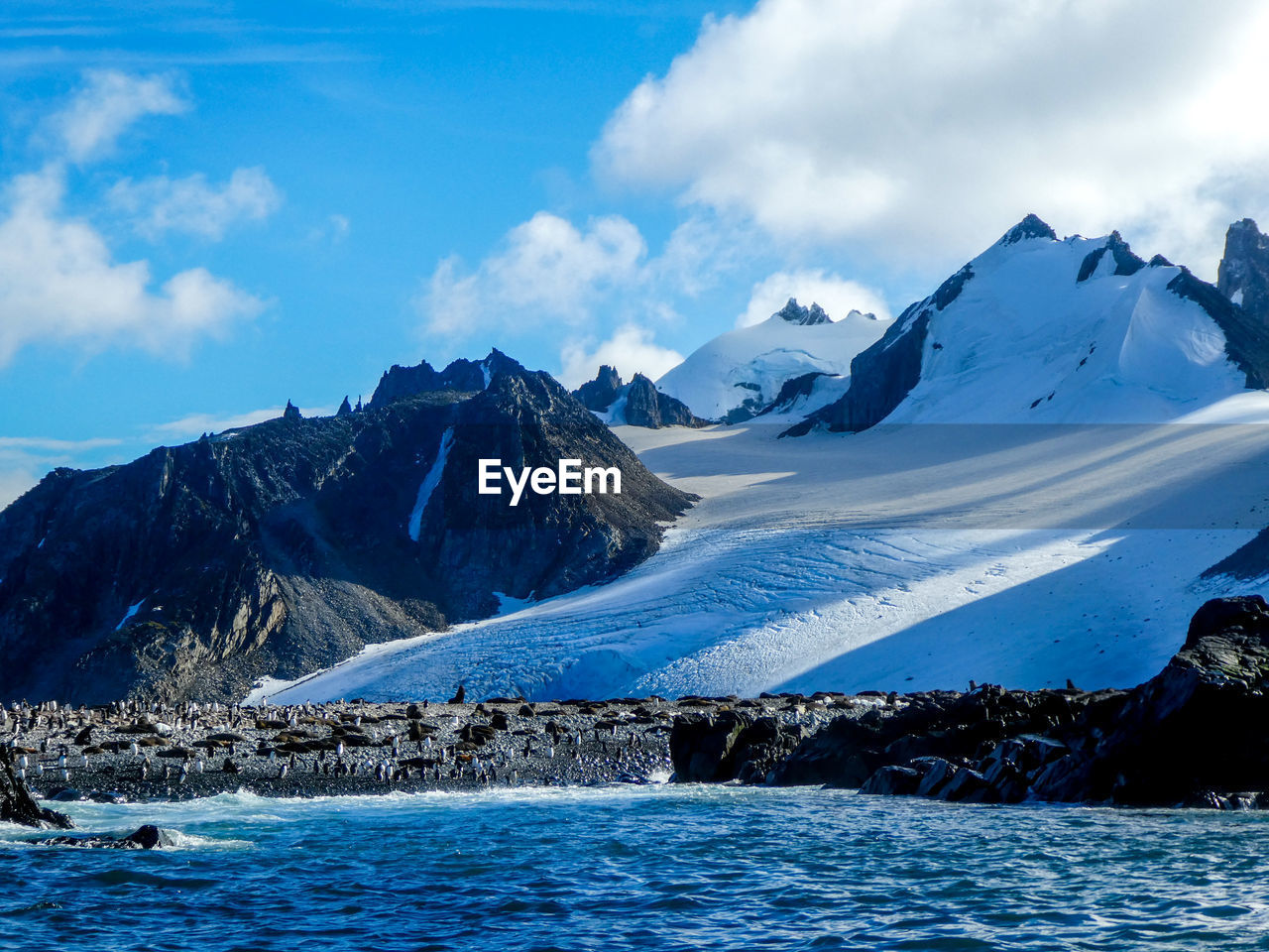 Penguins and sealions on beach in antarctica with mountains in the bagground