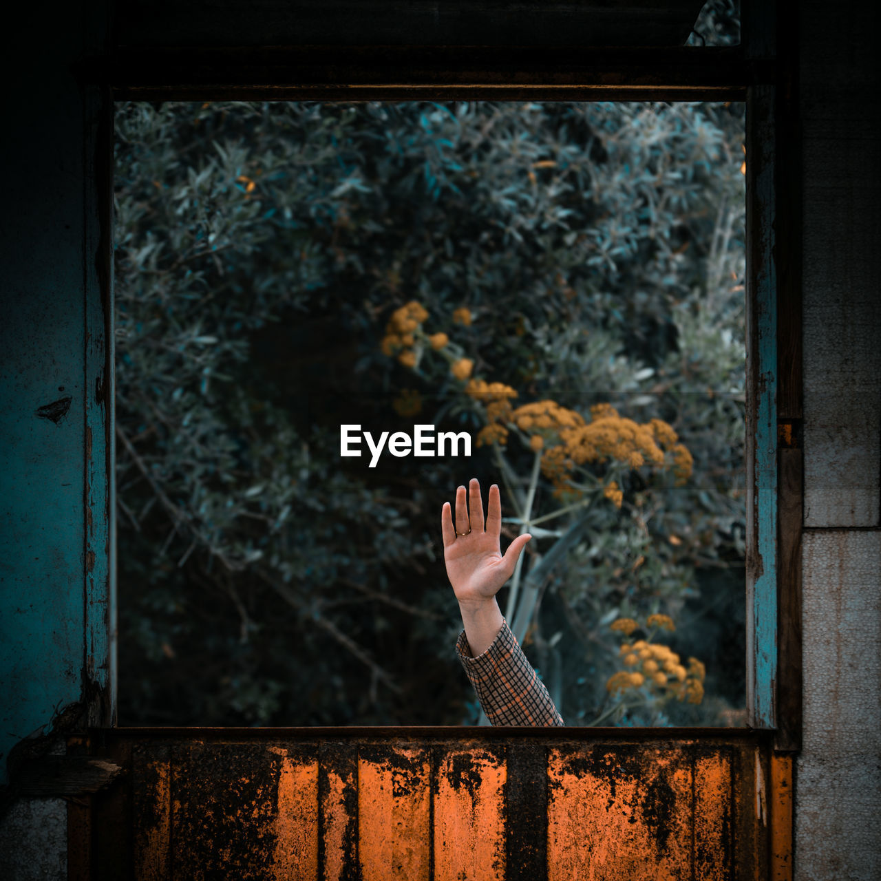 Cropped hand of woman looking through window