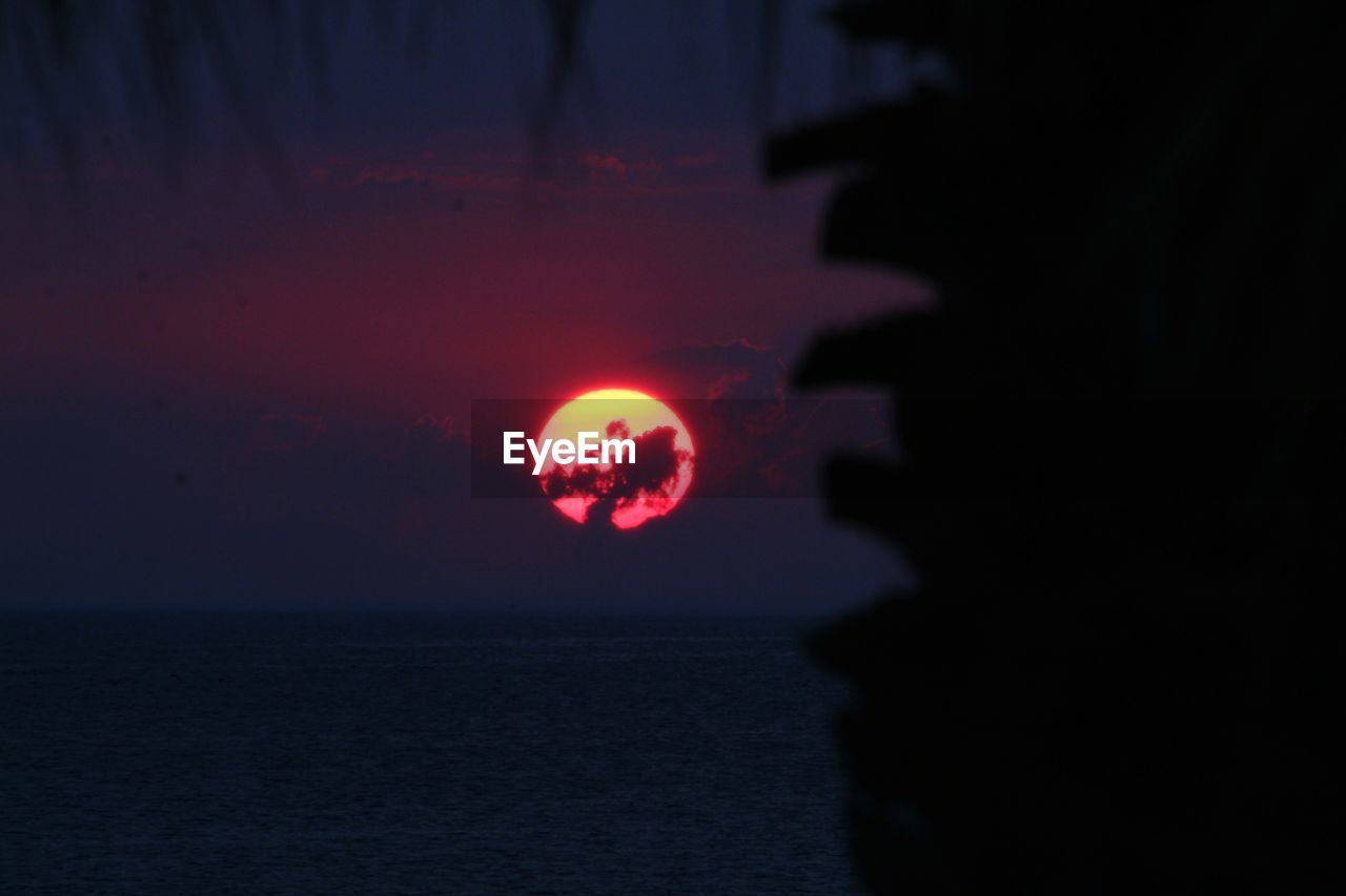 SILHOUETTE TREE AGAINST SEA AT SUNSET