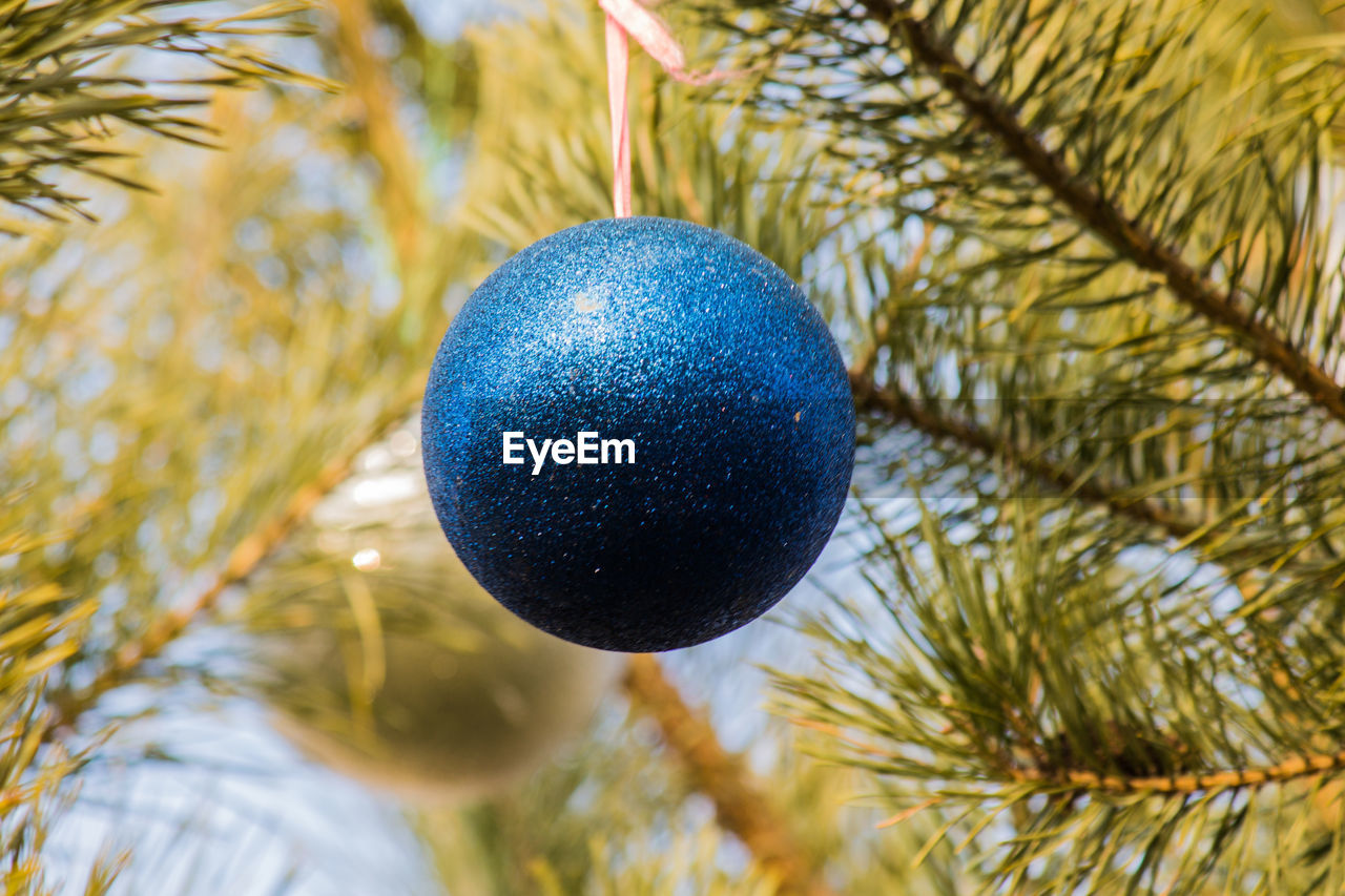 Low angle view of bauble hanging on christmas tree