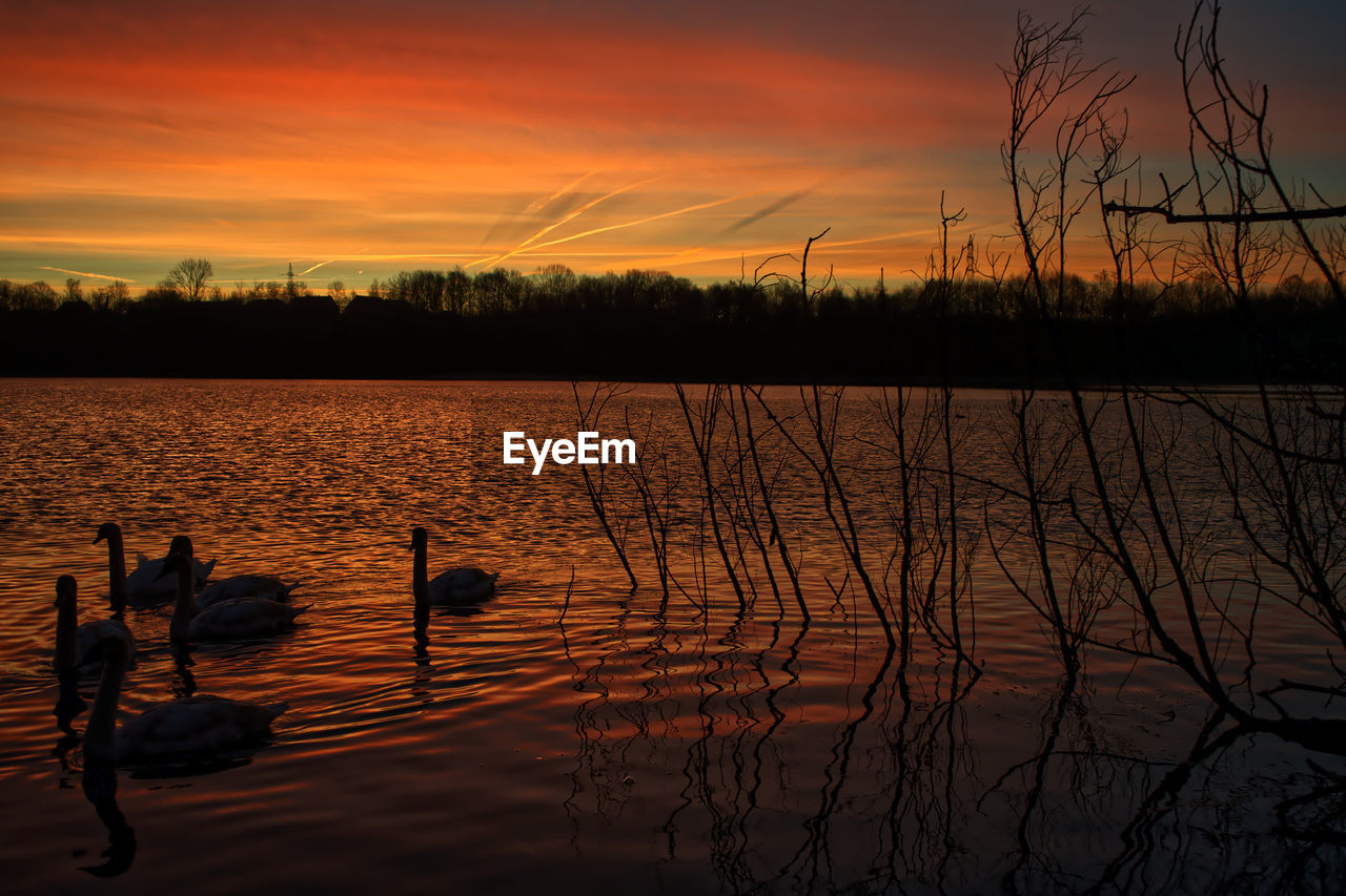 VIEW OF DUCKS SWIMMING IN LAKE AT SUNSET