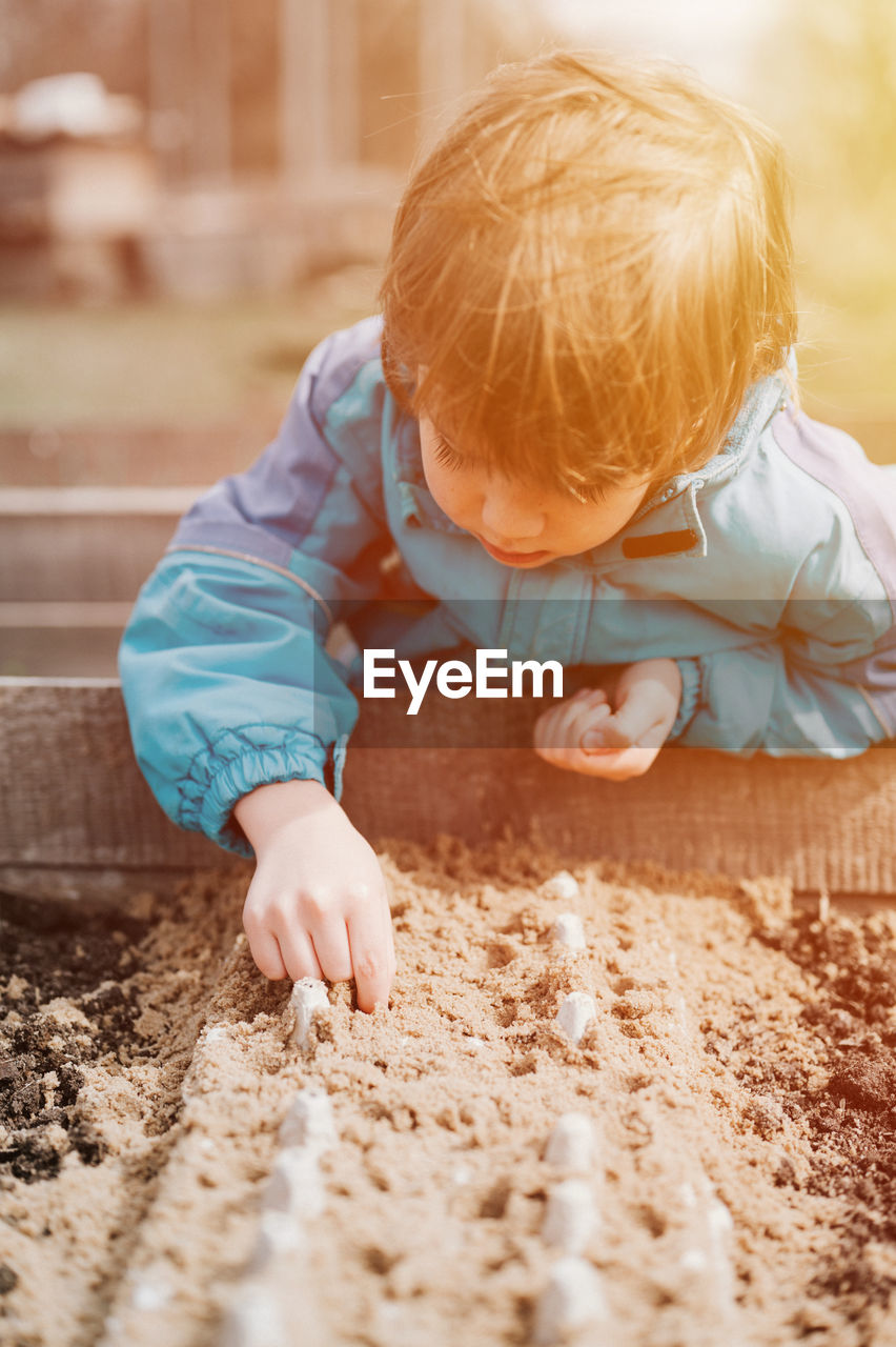 Spring planting seeding farm garden. little kid boy farmer gardener plants sow vegetable seeds soil