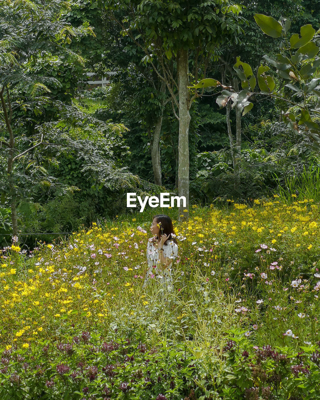 Woman standing by flowering tree on field