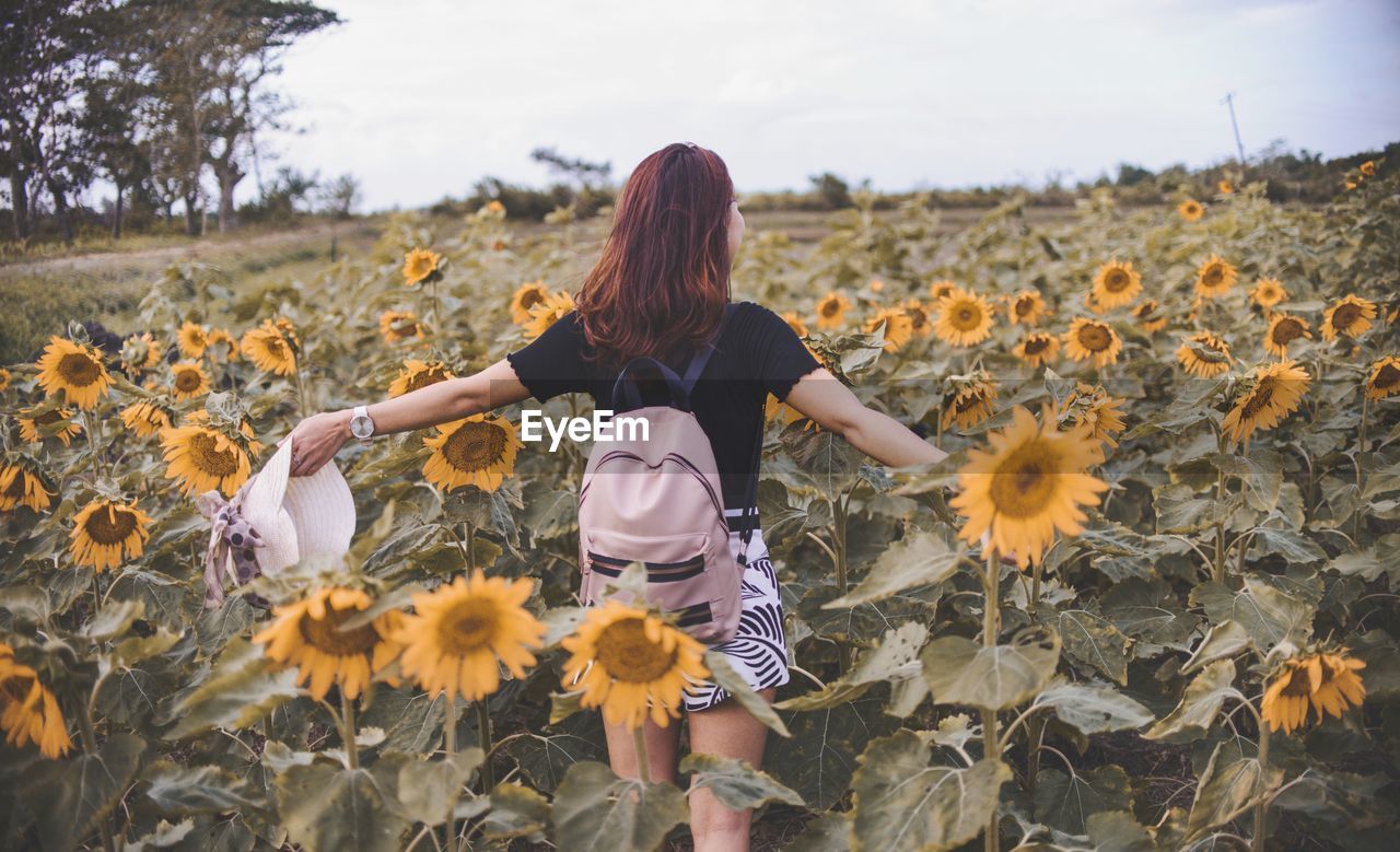 Rear view of young woman with backpack standing amidst sunflowers on field against sky