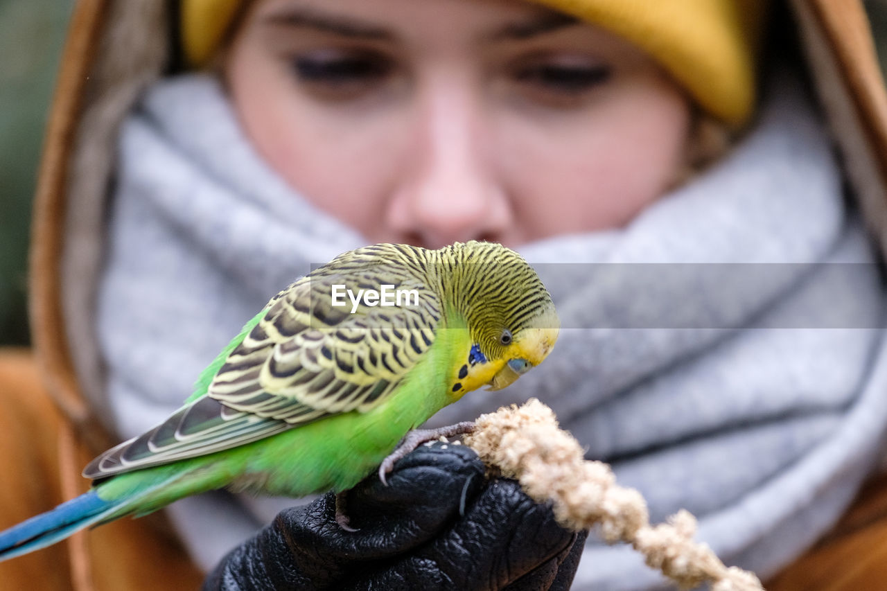 Close-up of woman feeding bird