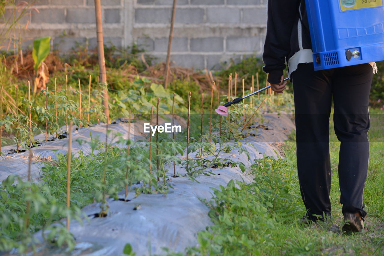 Low section of person spraying pesticides on plants