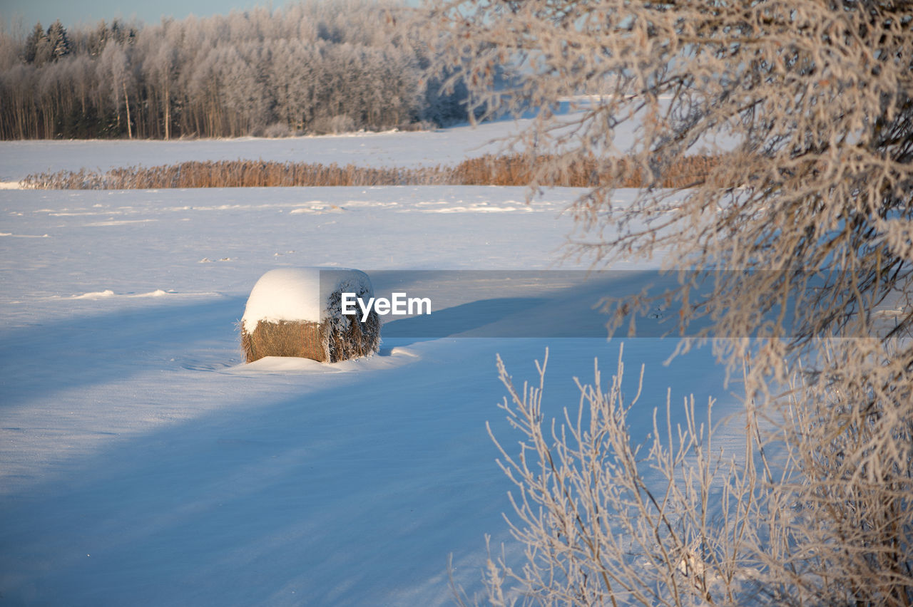 winter, snow, ice, cold temperature, reflection, freezing, nature, frost, tree, plant, environment, water, scenics - nature, landscape, frozen, no people, beauty in nature, day, morning, tranquility, land, tranquil scene, lake, white, outdoors, non-urban scene, sky, rural scene, sunlight, forest