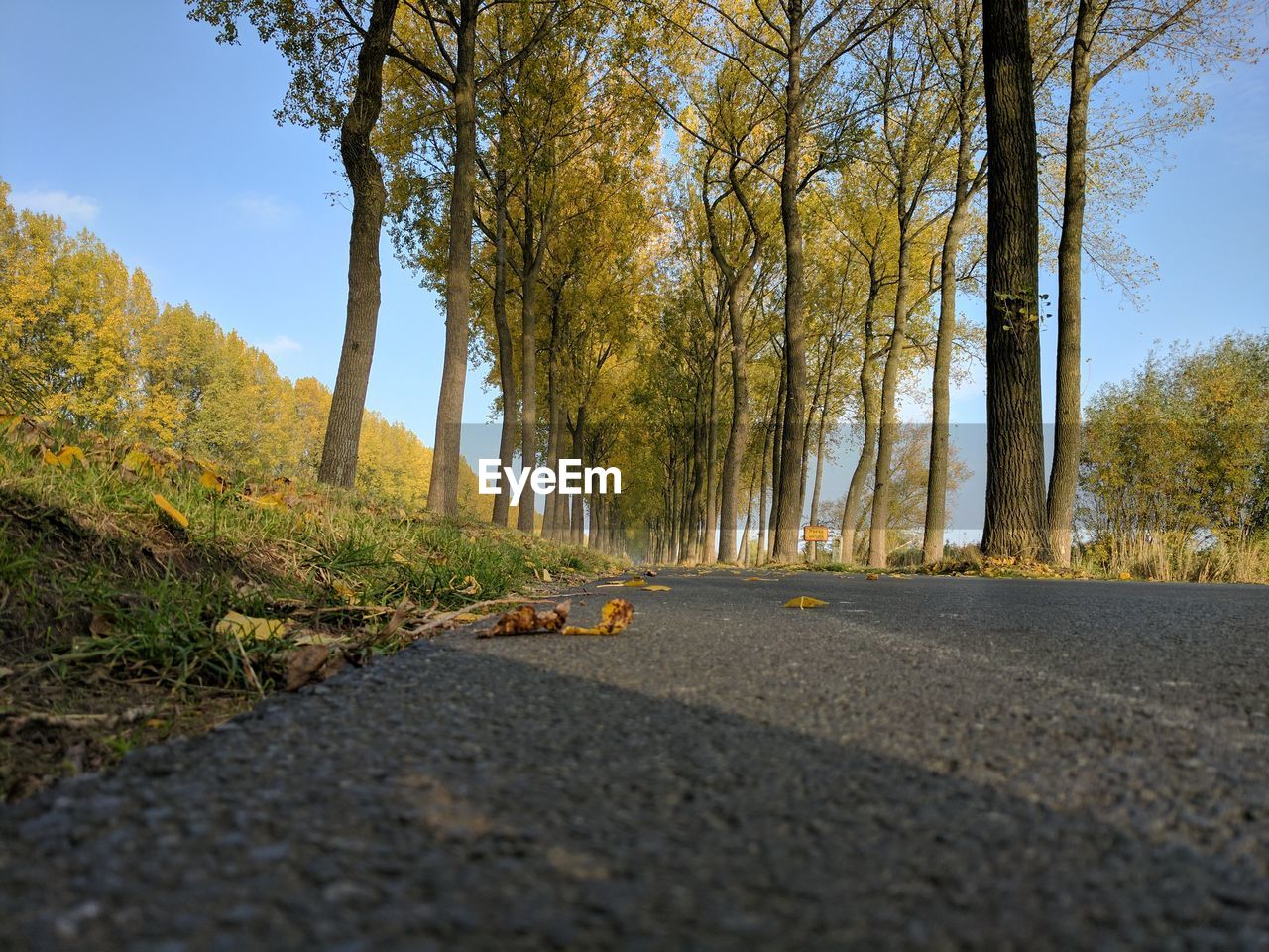 Road amidst trees against sky during autumn