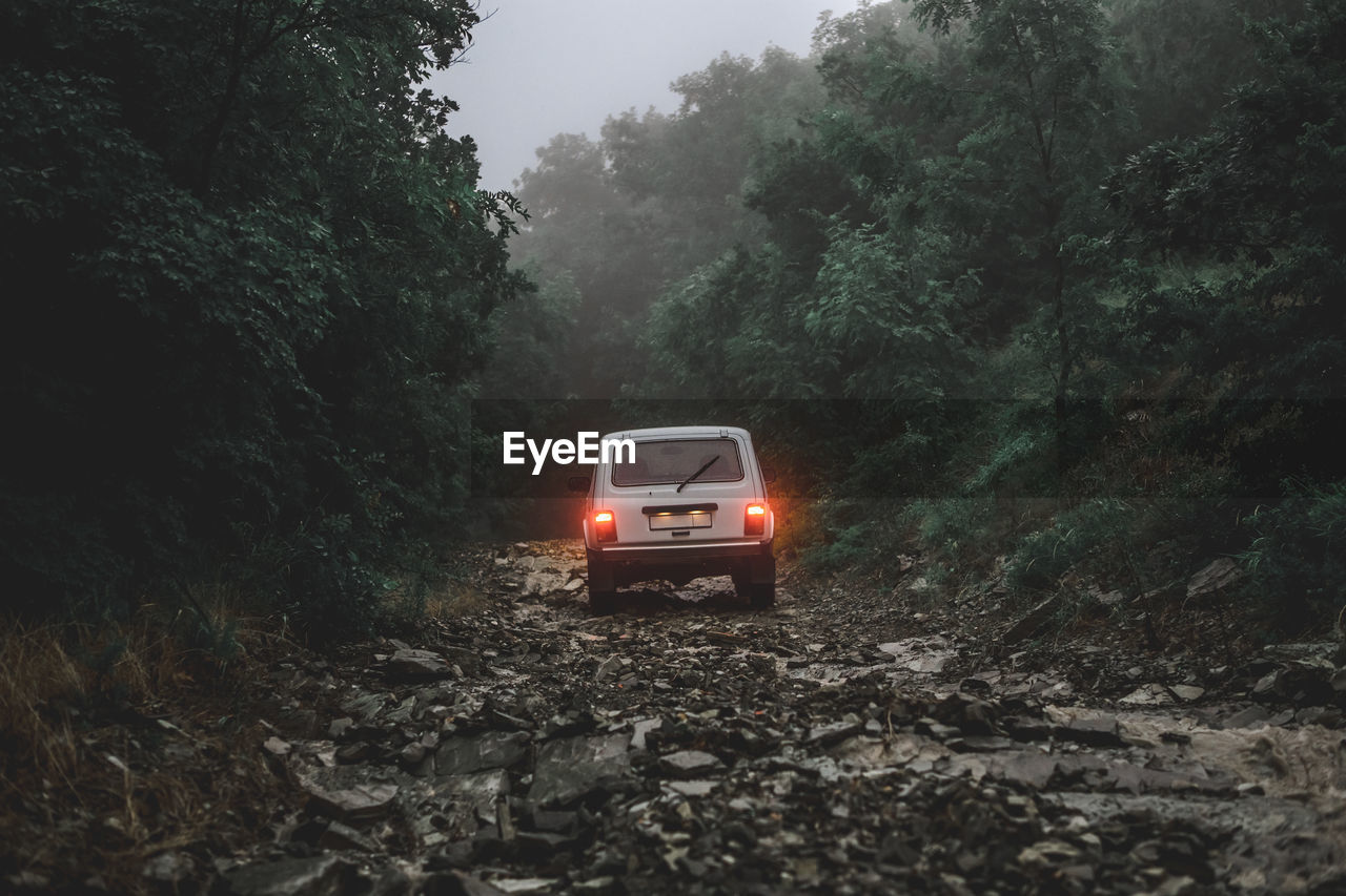 Off-road vehicle amidst trees in forest